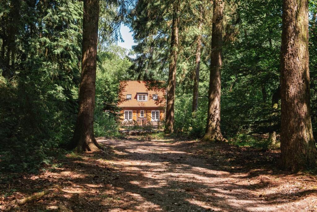 Fantastisch Familiehuis Met Grote Tuin I Bosrijk Lunteren Buitenkant foto