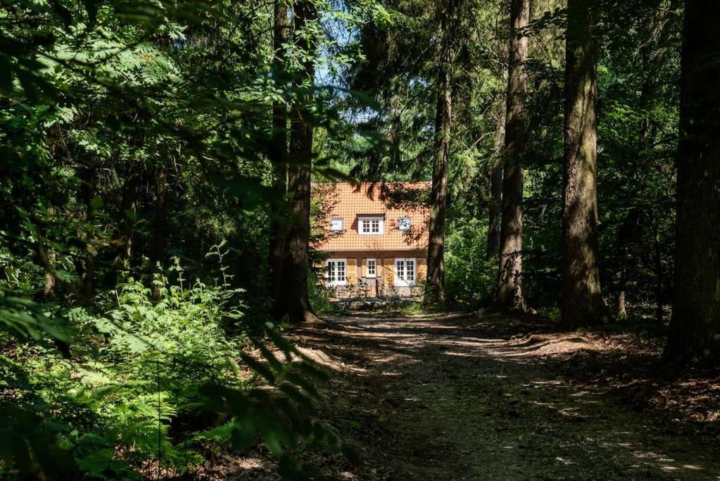 Fantastisch Familiehuis Met Grote Tuin I Bosrijk Lunteren Buitenkant foto